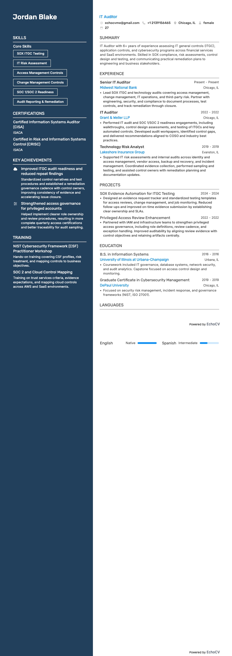 Auditor de TI example resume