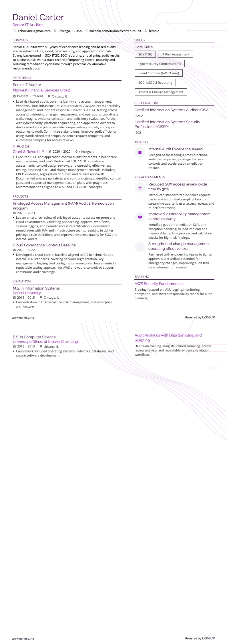 Auditor de TI resume example