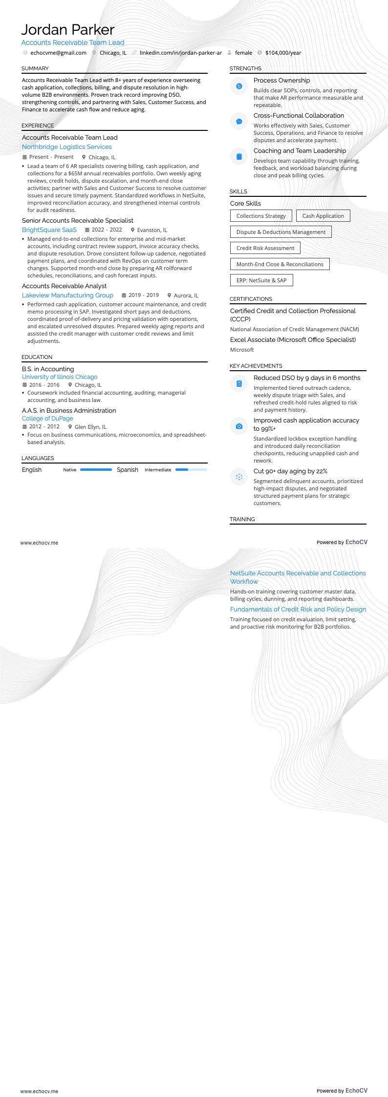 Accounts Receivable Team Lead example resume