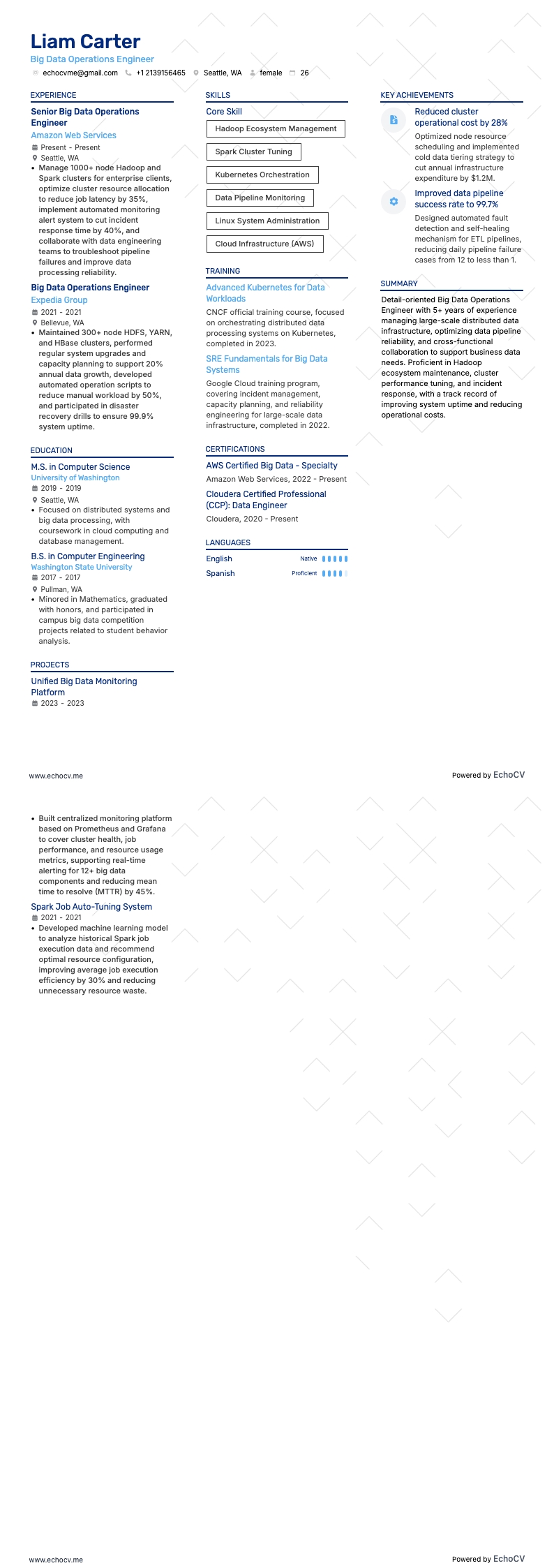 Engenheiro de Operações de Big Data example resume