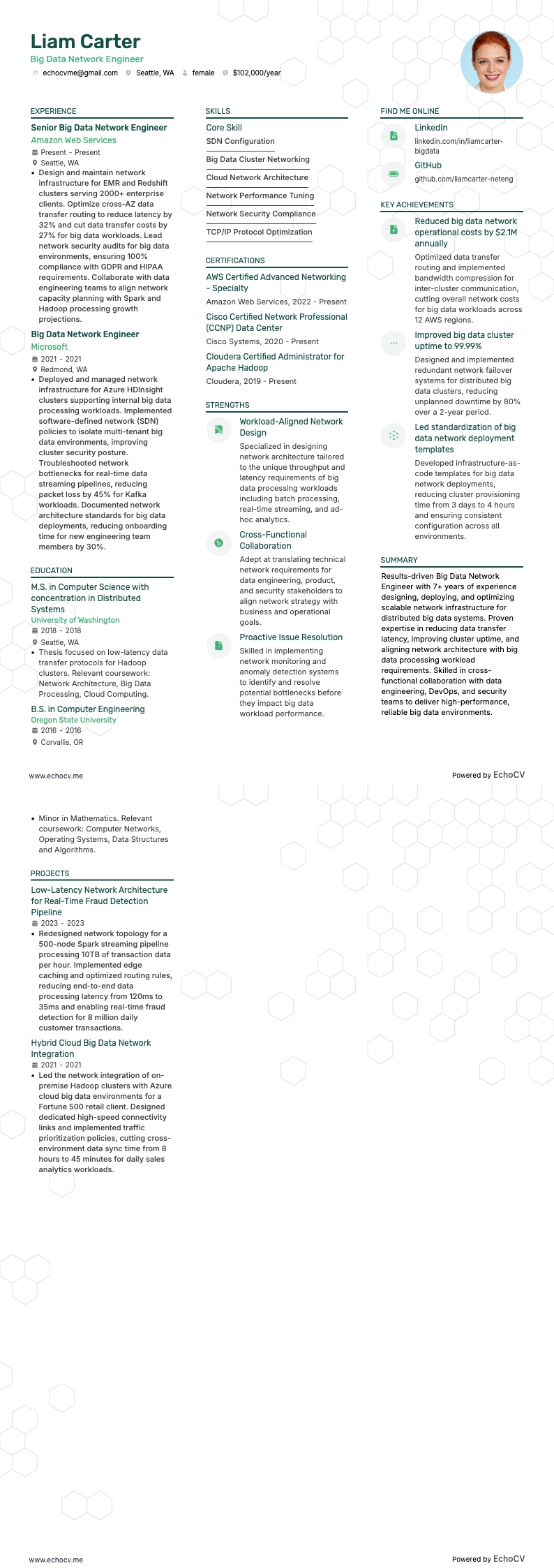 Engenheiro de redes de big data example resume