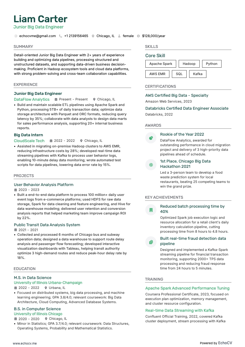 Engenheiro júnior de Big Data example resume