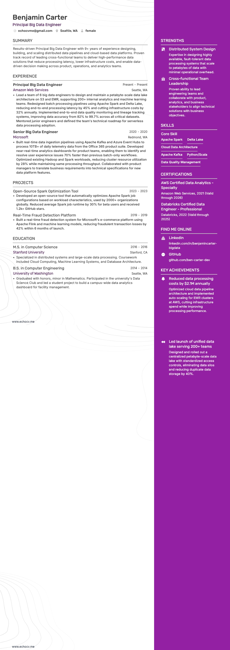 Engenheiro Principal de Big Data example resume