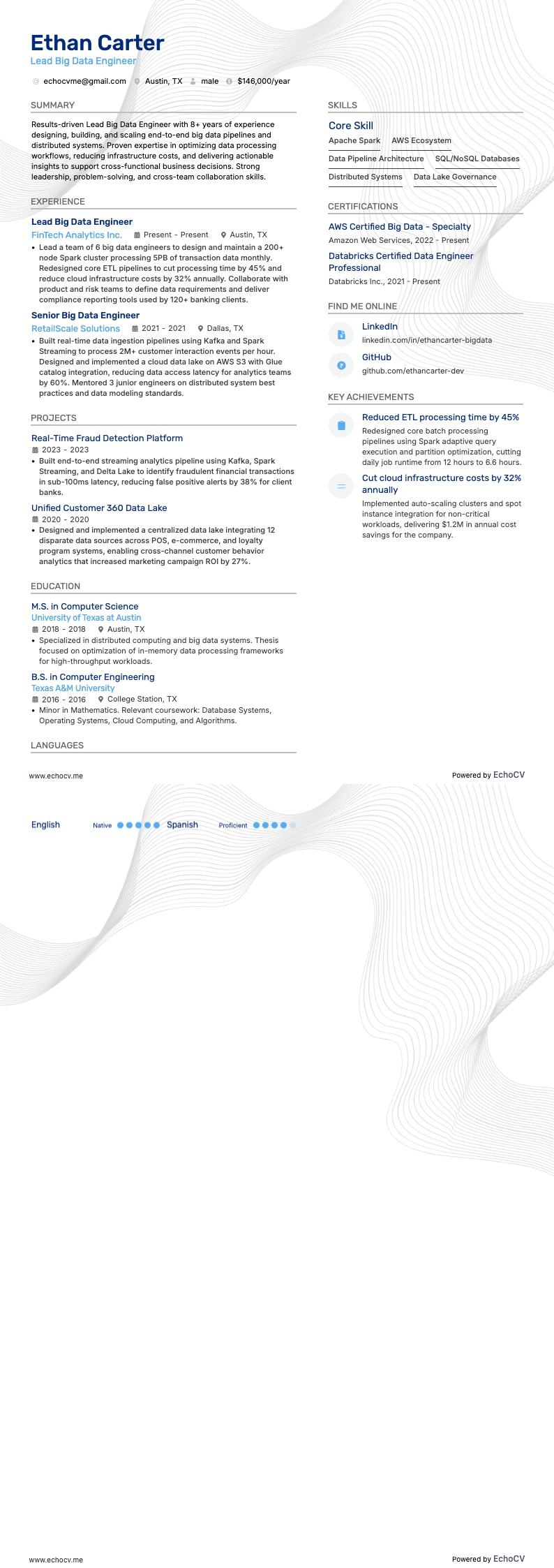 Engenheiro líder de Big Data example resume