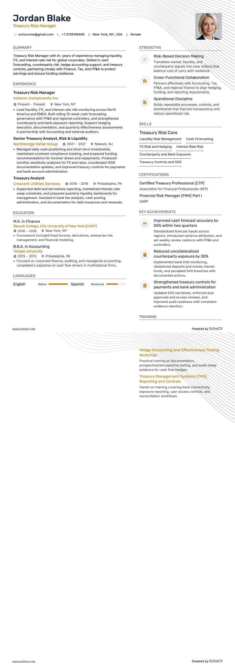 Treasury Risk Manager example resume
