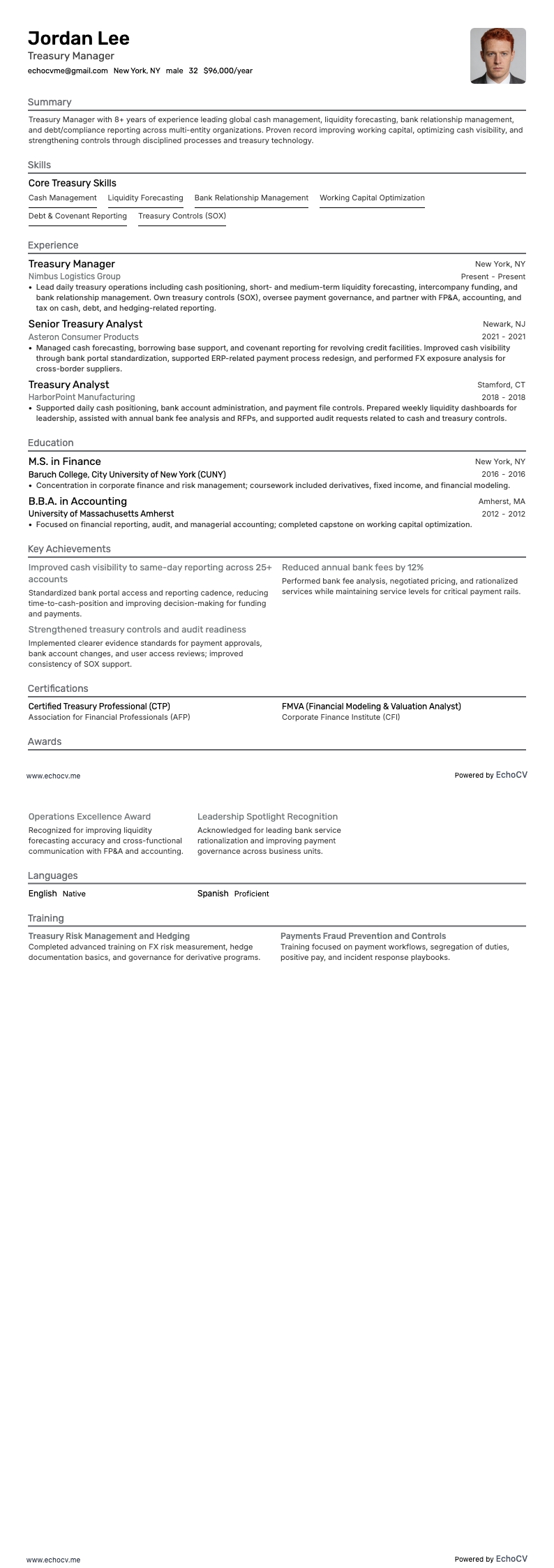 Treasury Manager example resume