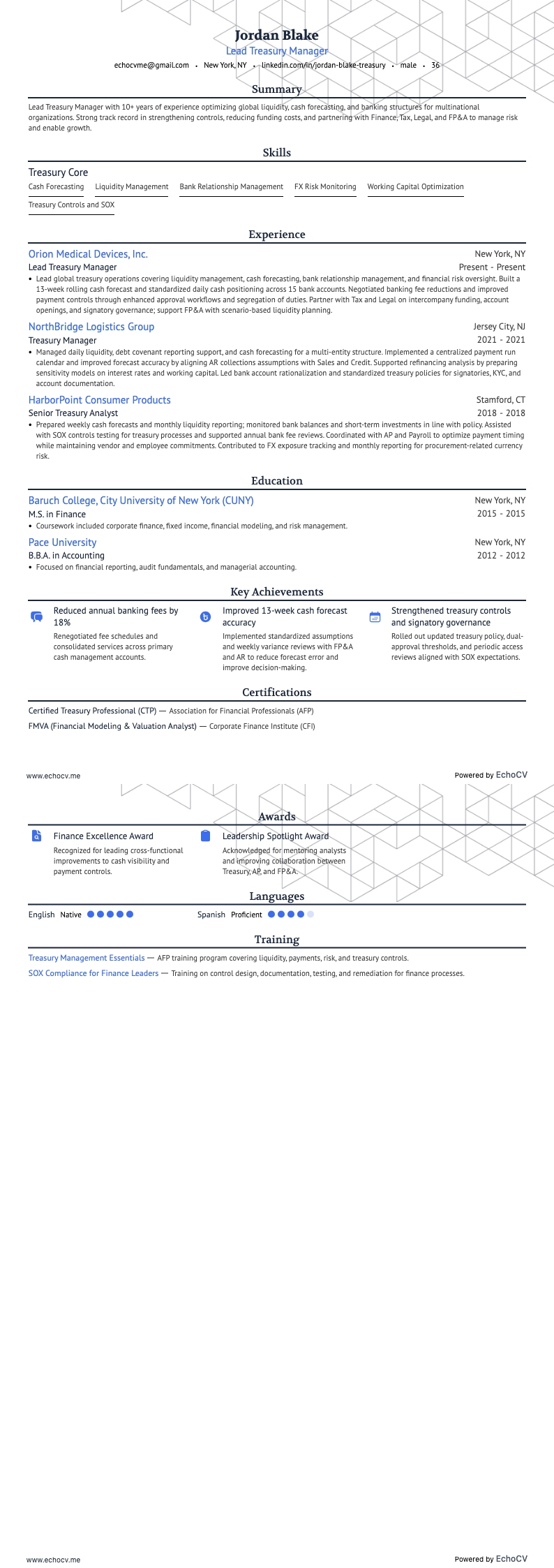 Lead Treasury Manager example resume