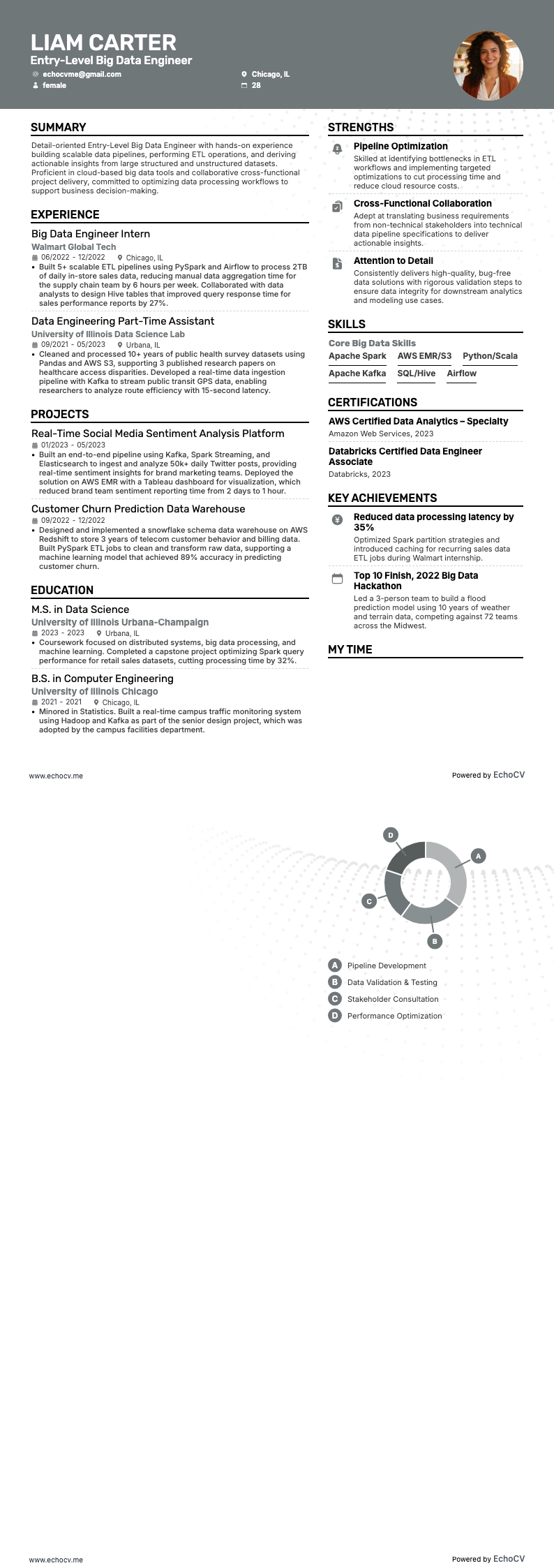 Engenheiro de Big Data júnior example resume