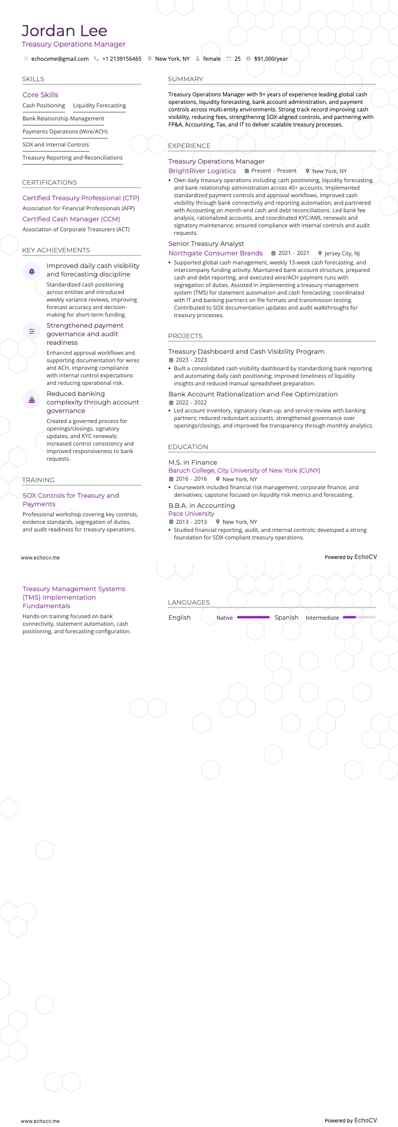 Treasury Operations Manager full preview