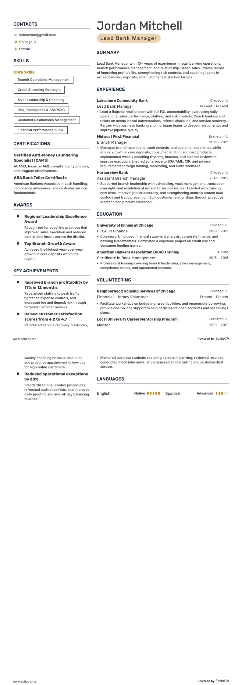 Lead Bank Manager full preview