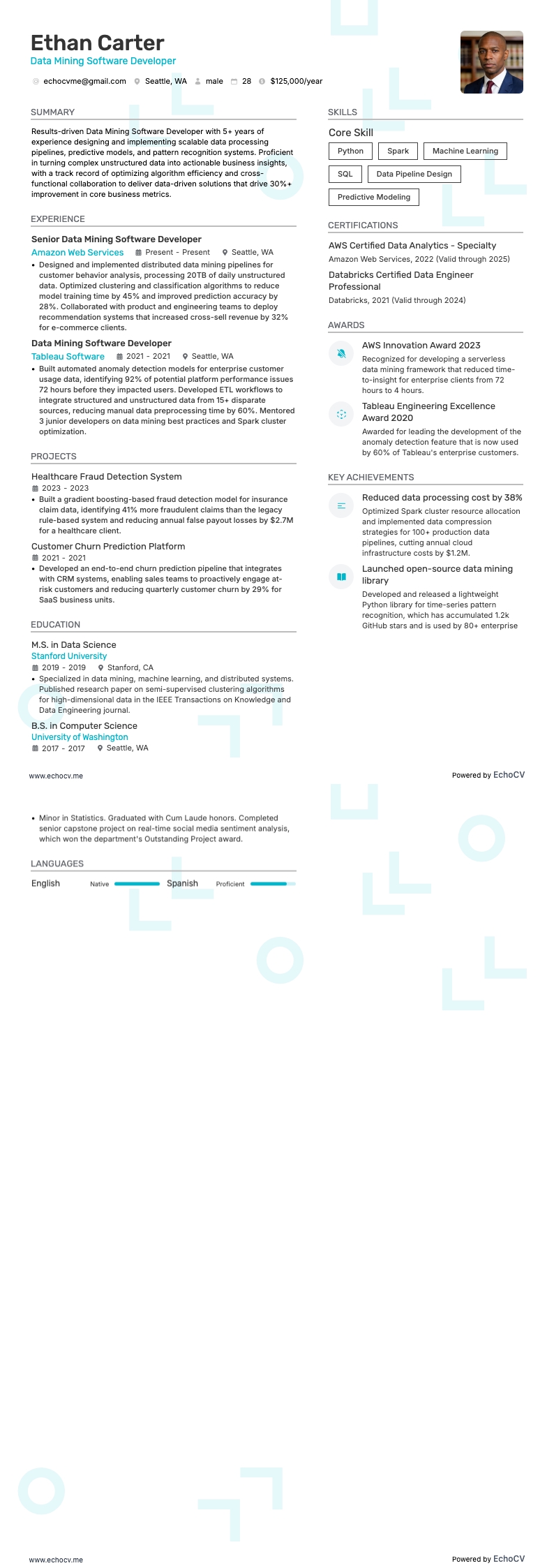 Data Mining Software Developer example resume