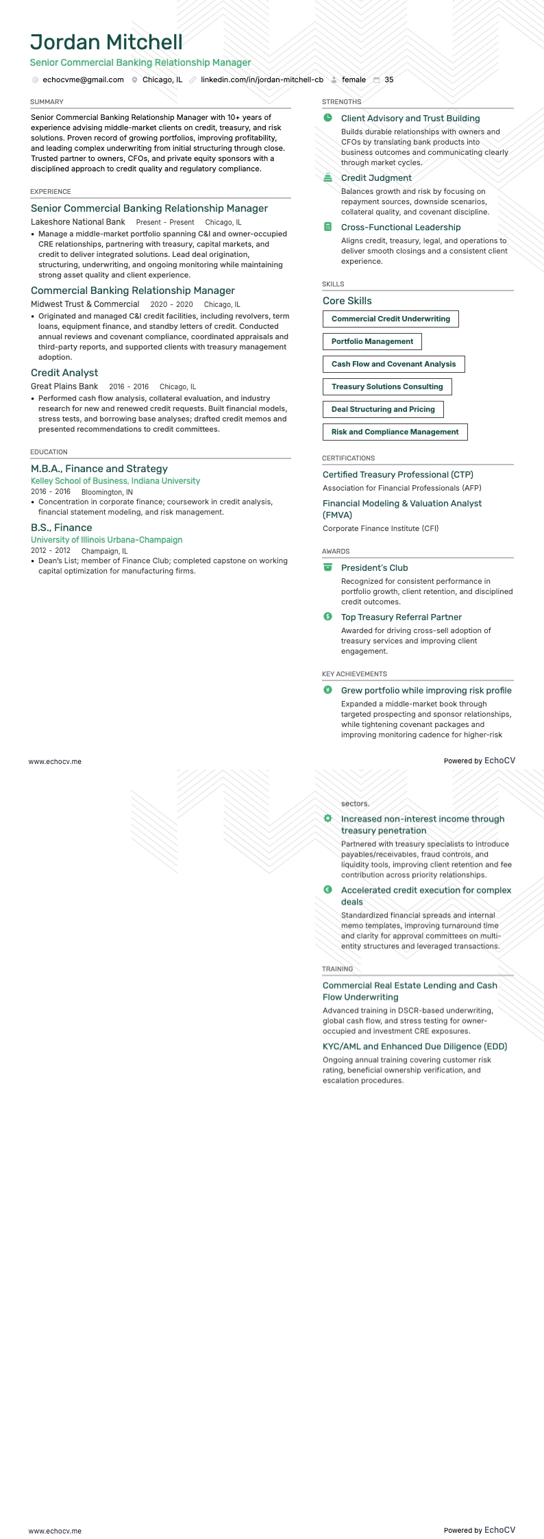 수석 기업금융 관계 관리자 example resume