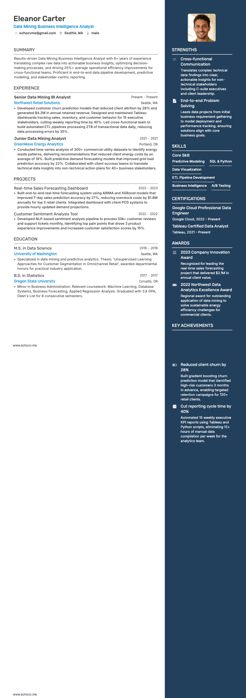 Data Mining Business Intelligence Analyst example resume