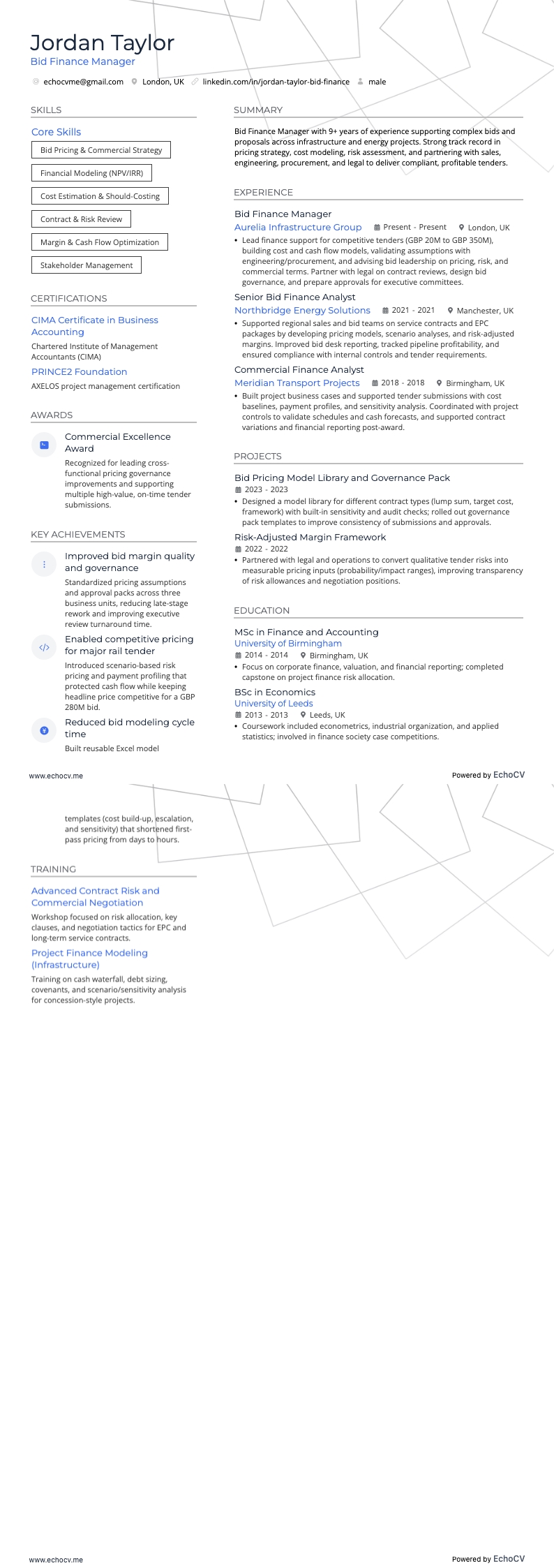 入札財務マネージャー example resume