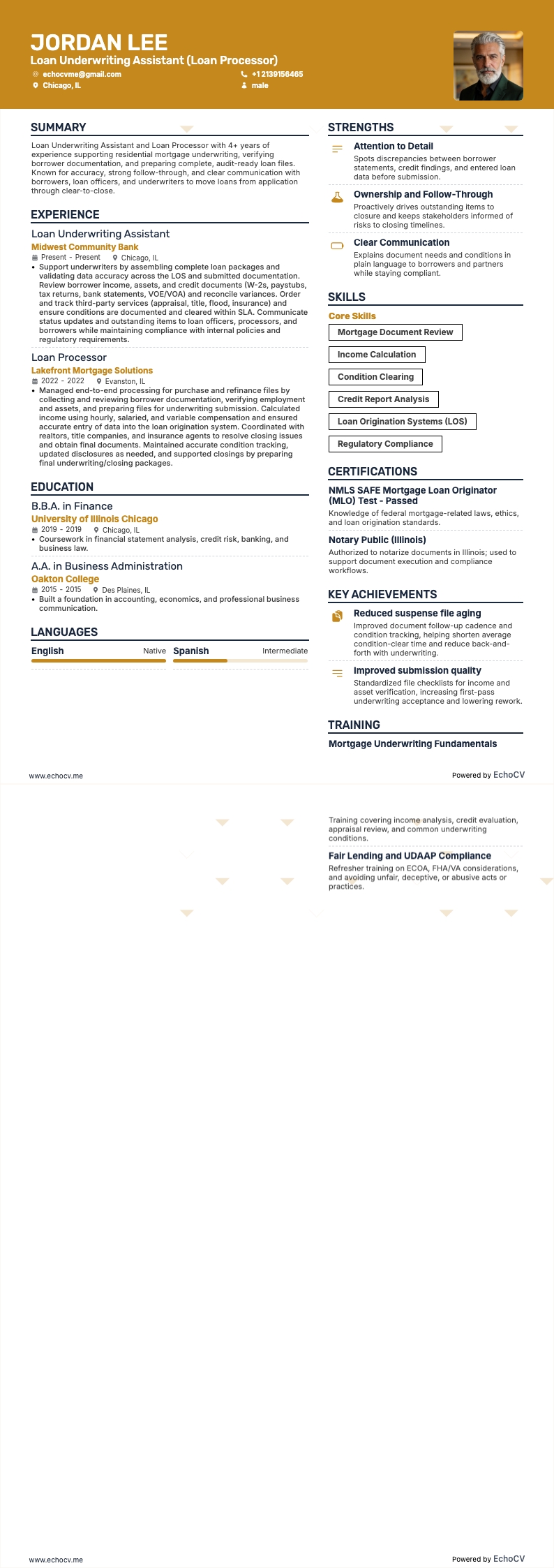 Assistent kredietbeoordeling example resume