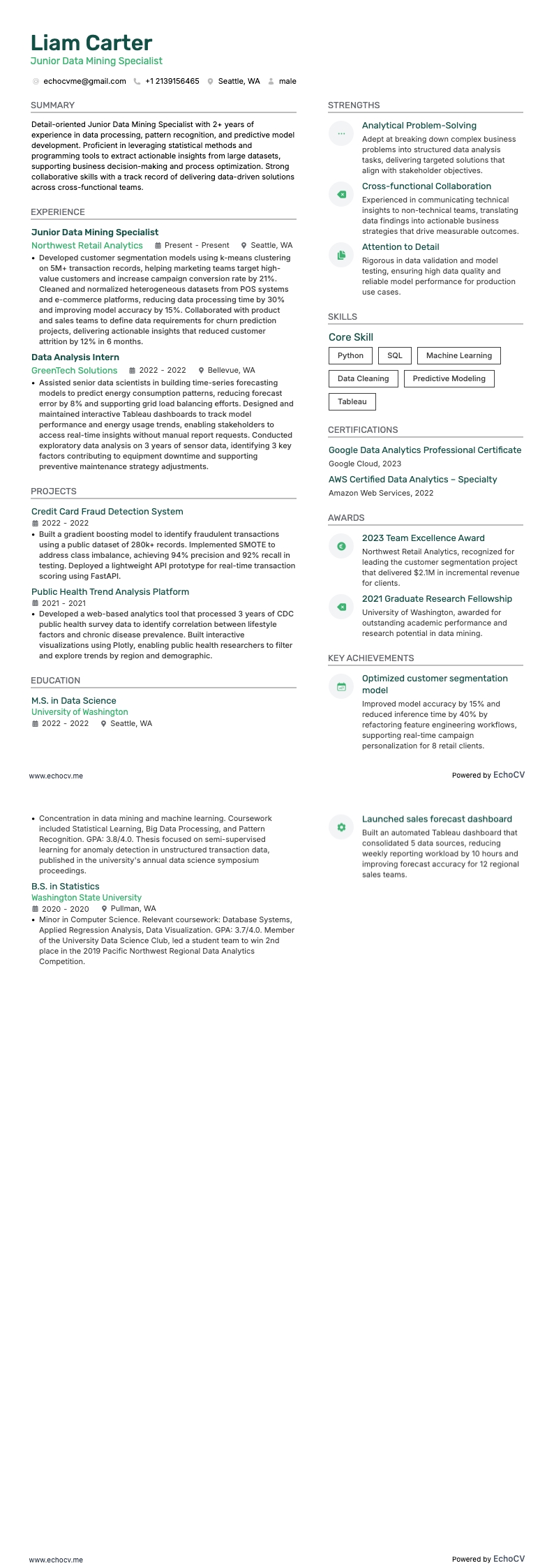 Junior Data Mining Specialist example resume