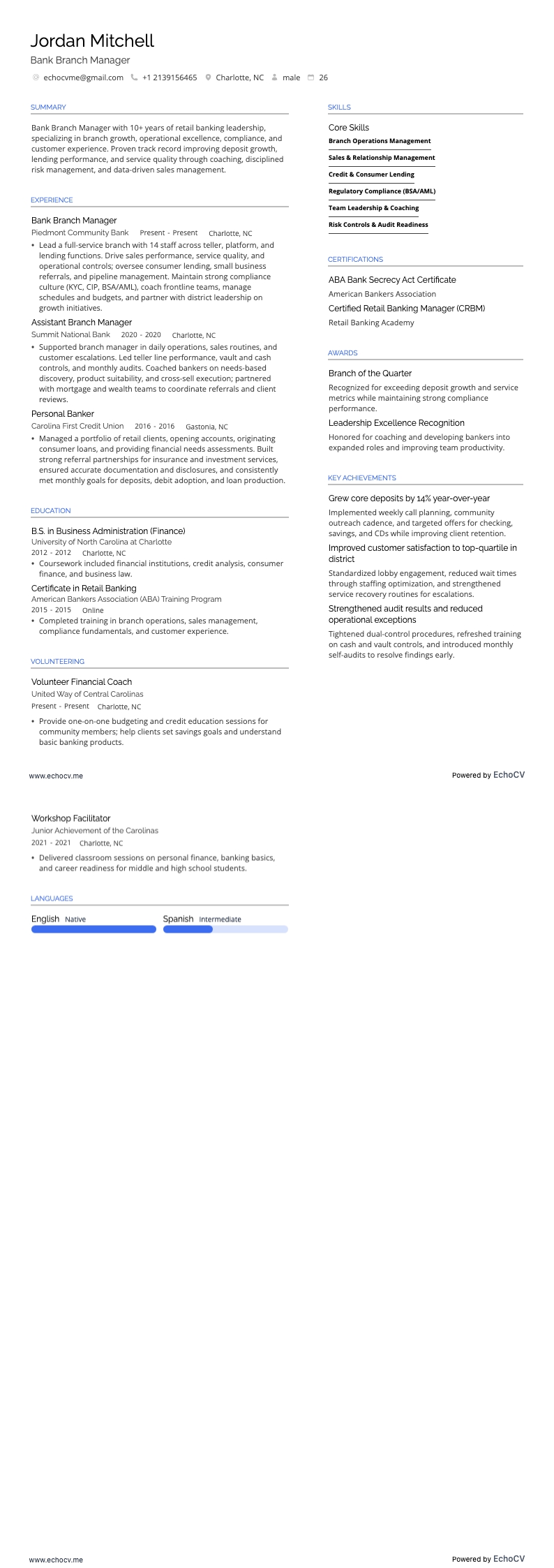 Bank Branch Manager example resume