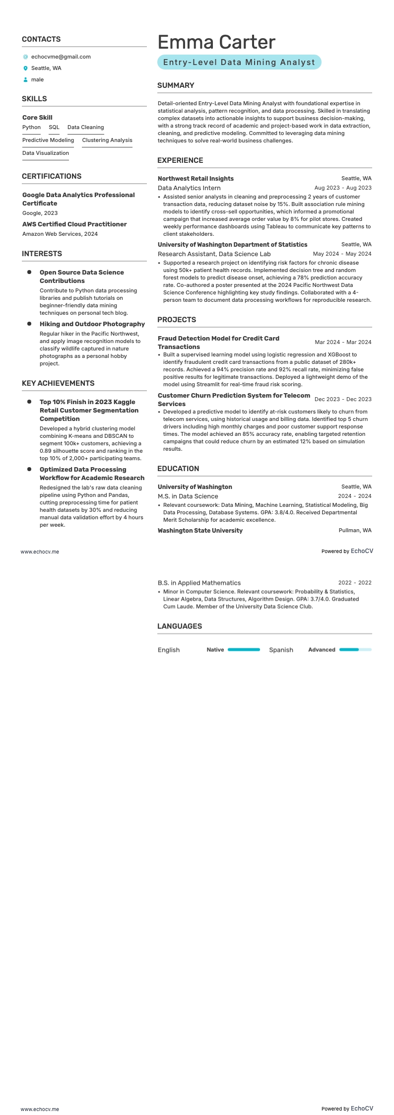 Entry-Level Data Mining Analyst example resume