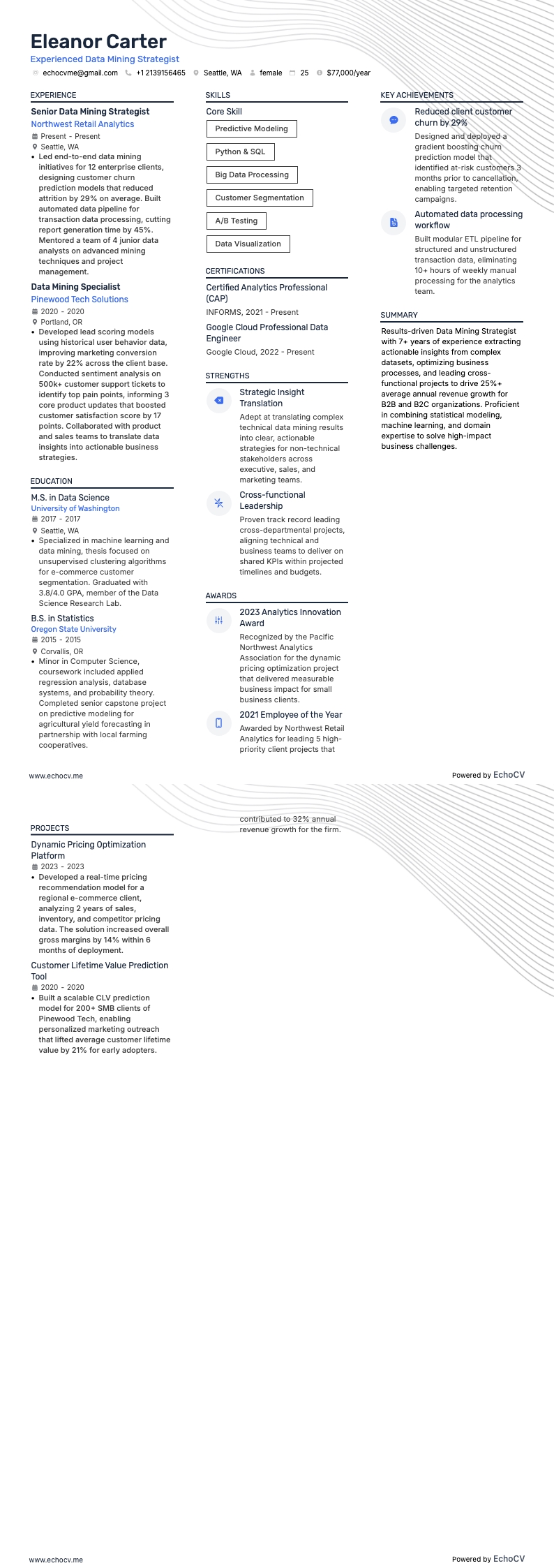 Erfaren strateg inom datautvinning