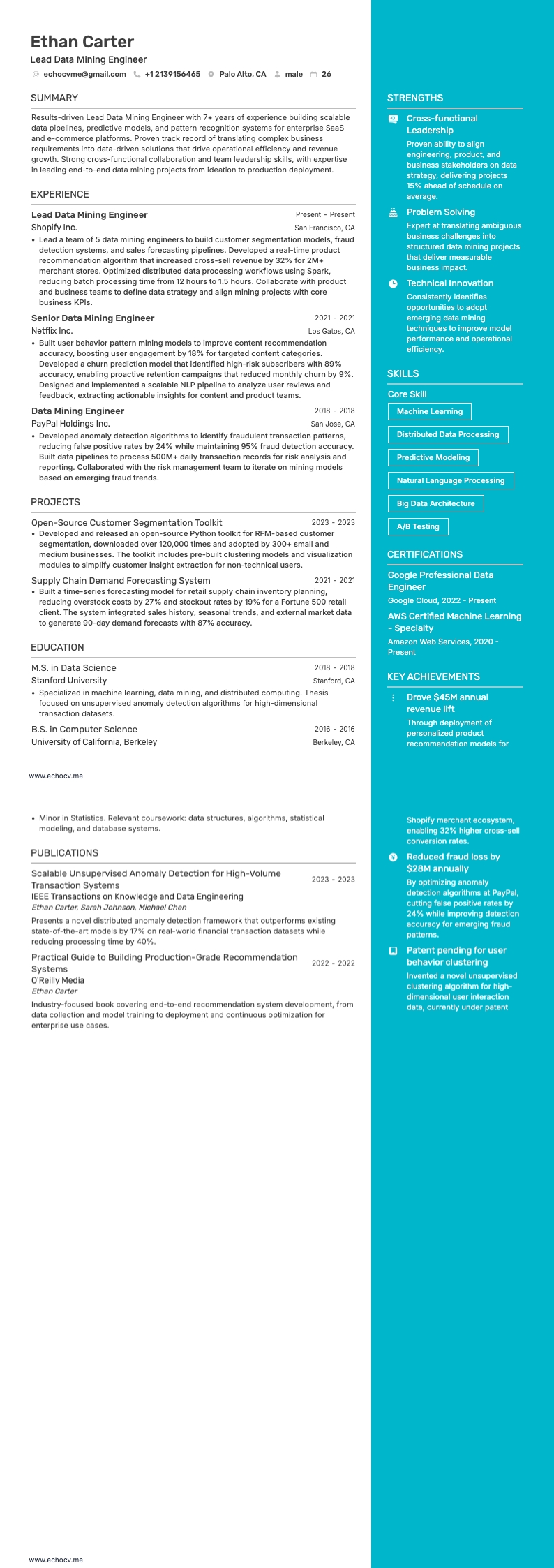 Lead Data Mining Engineer example resume