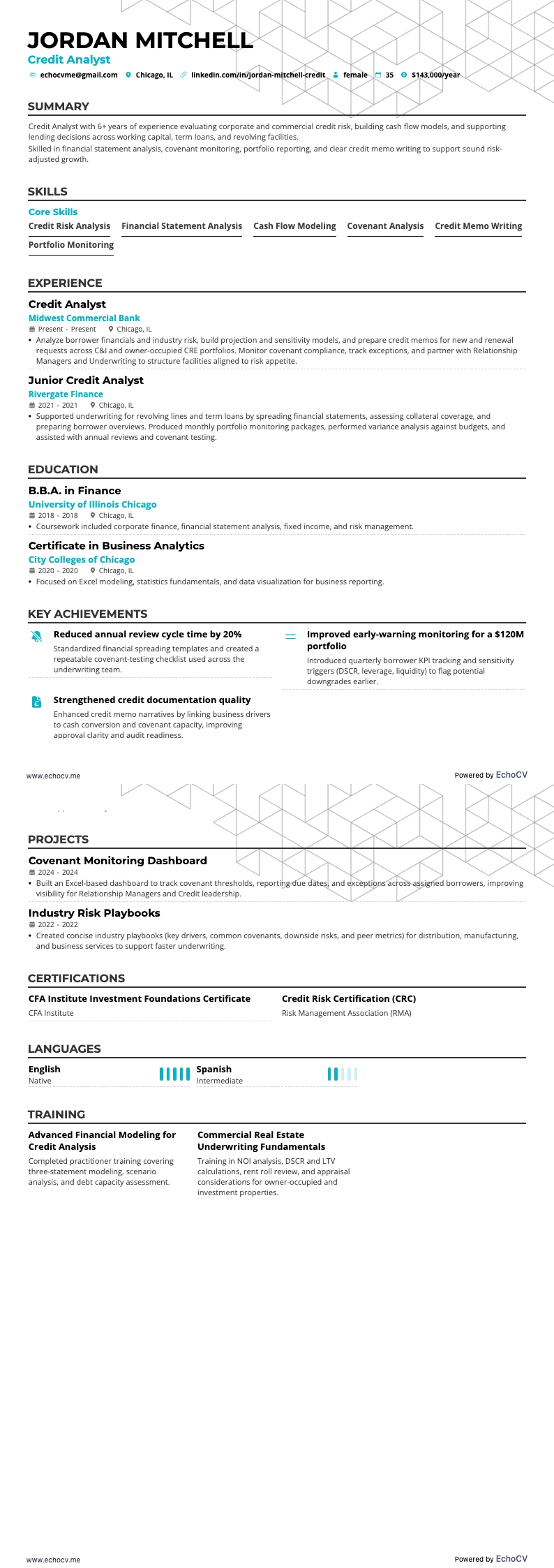信贷分析师 example resume