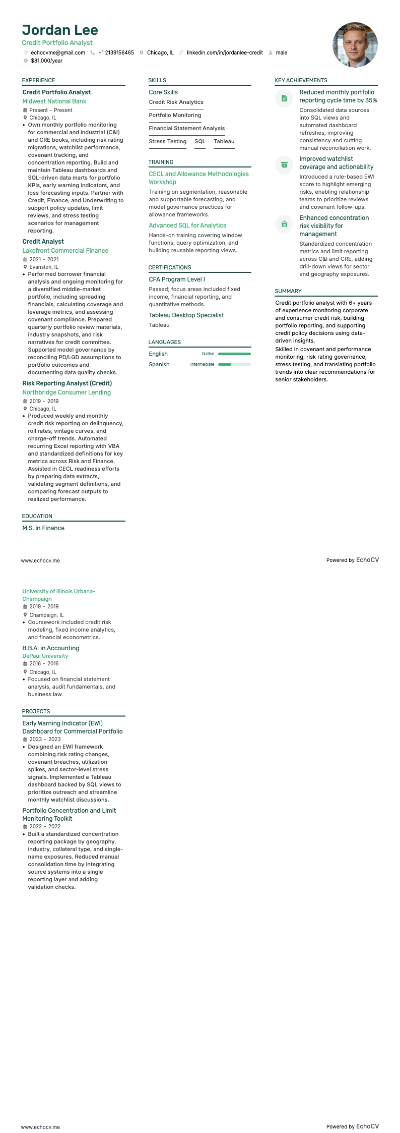 Analista del portafoglio crediti