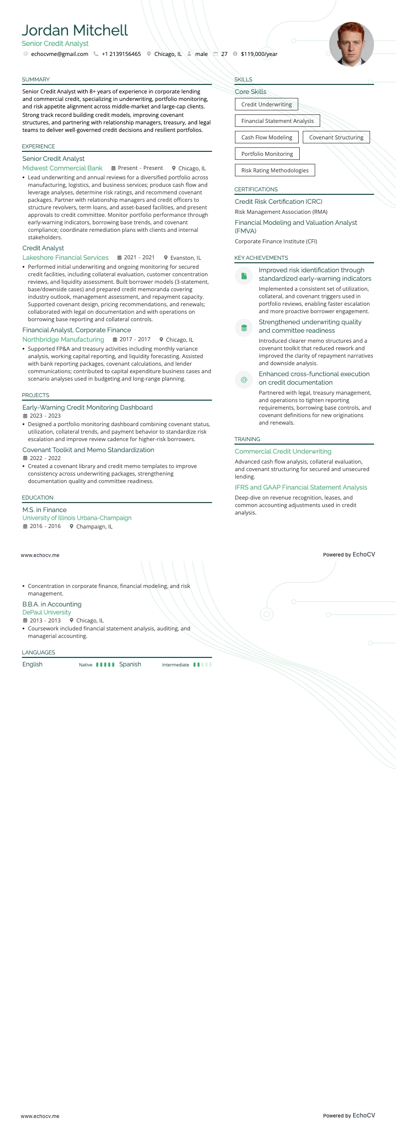 信用分析師 resume example