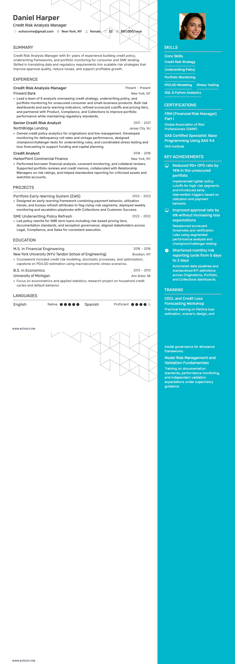 信贷风险分析经理 resume example