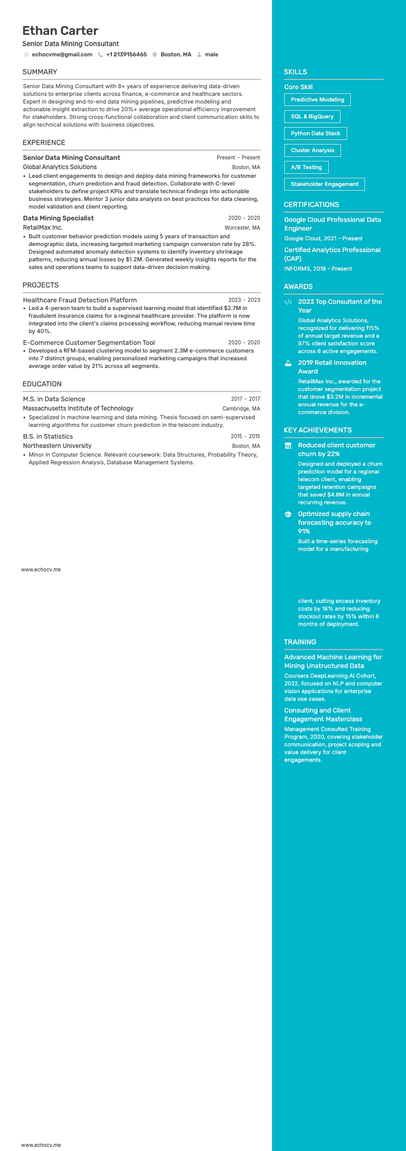 Senior Data Mining Consultant example resume