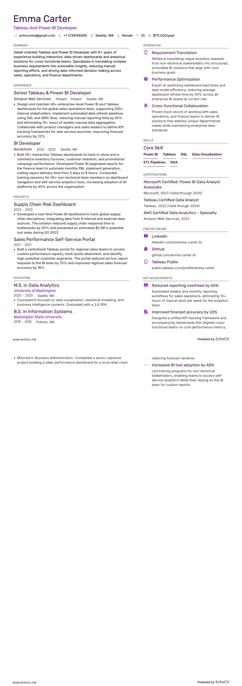 Tableau 및 Power BI 개발자 example resume