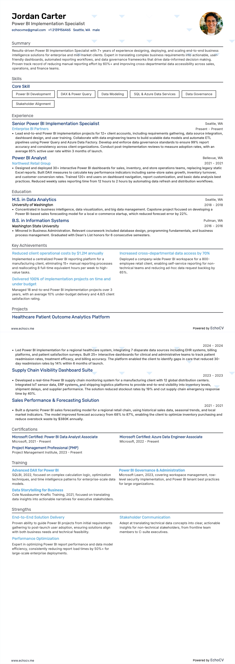 Power BI 구현 전문가 example resume