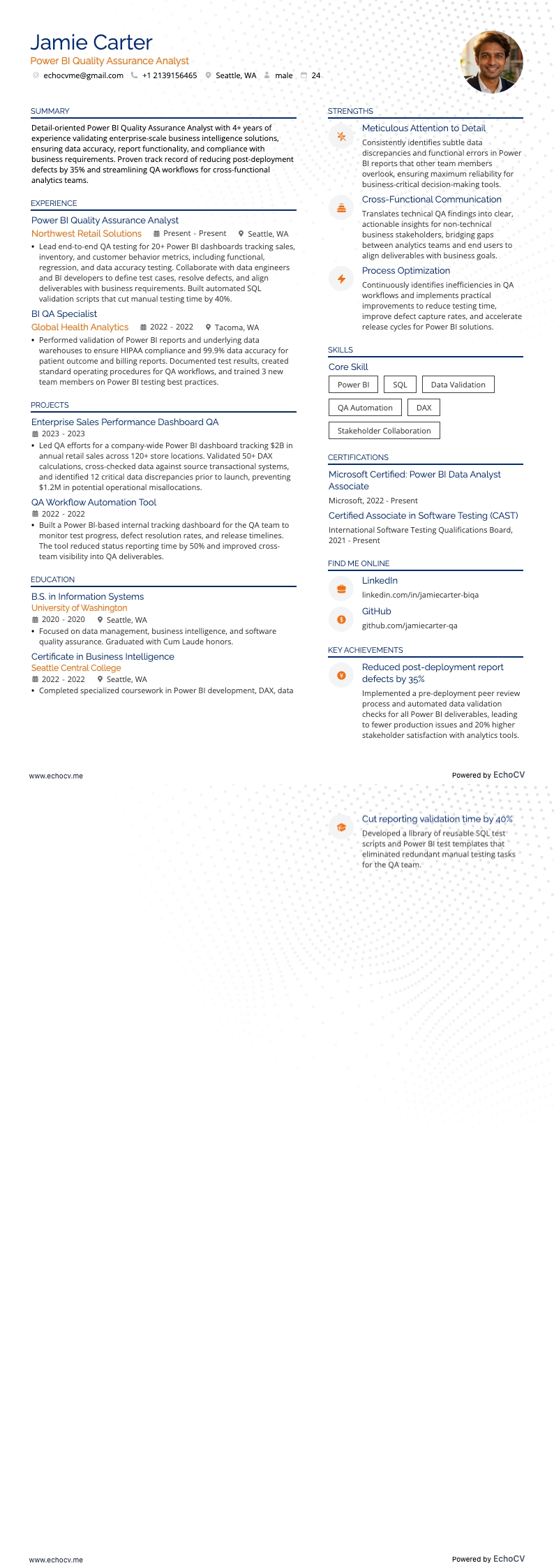 Power BI resume example
