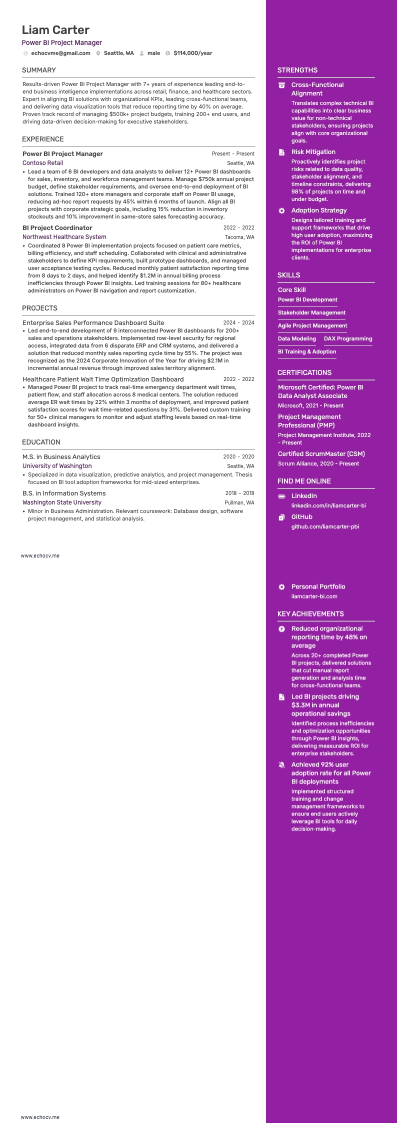 Power BI 프로젝트 매니저 example resume