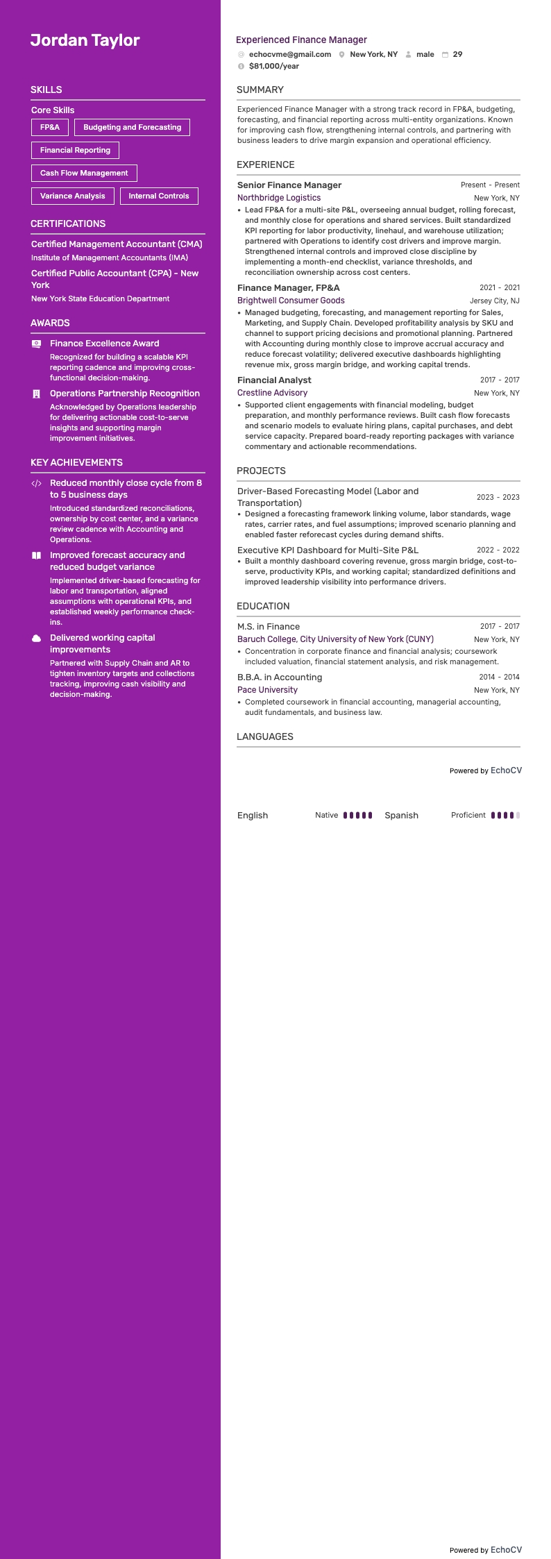 Experienced Finance Manager full preview