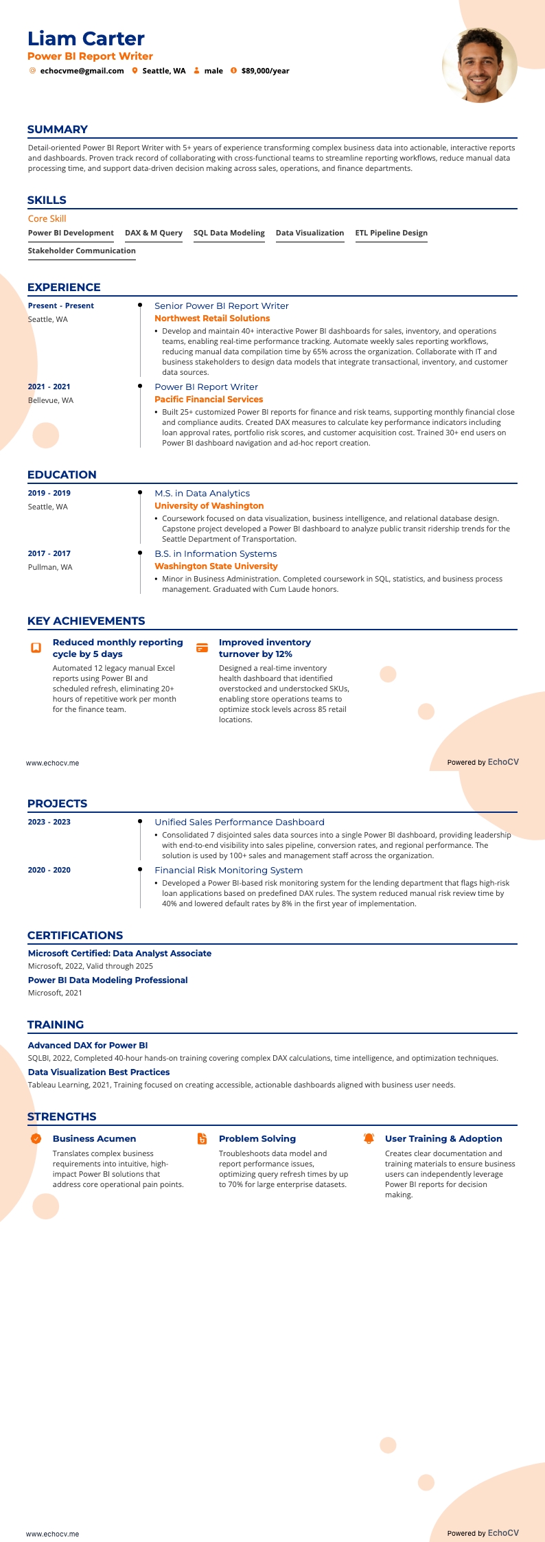 Power BI 보고서 작성자 example resume