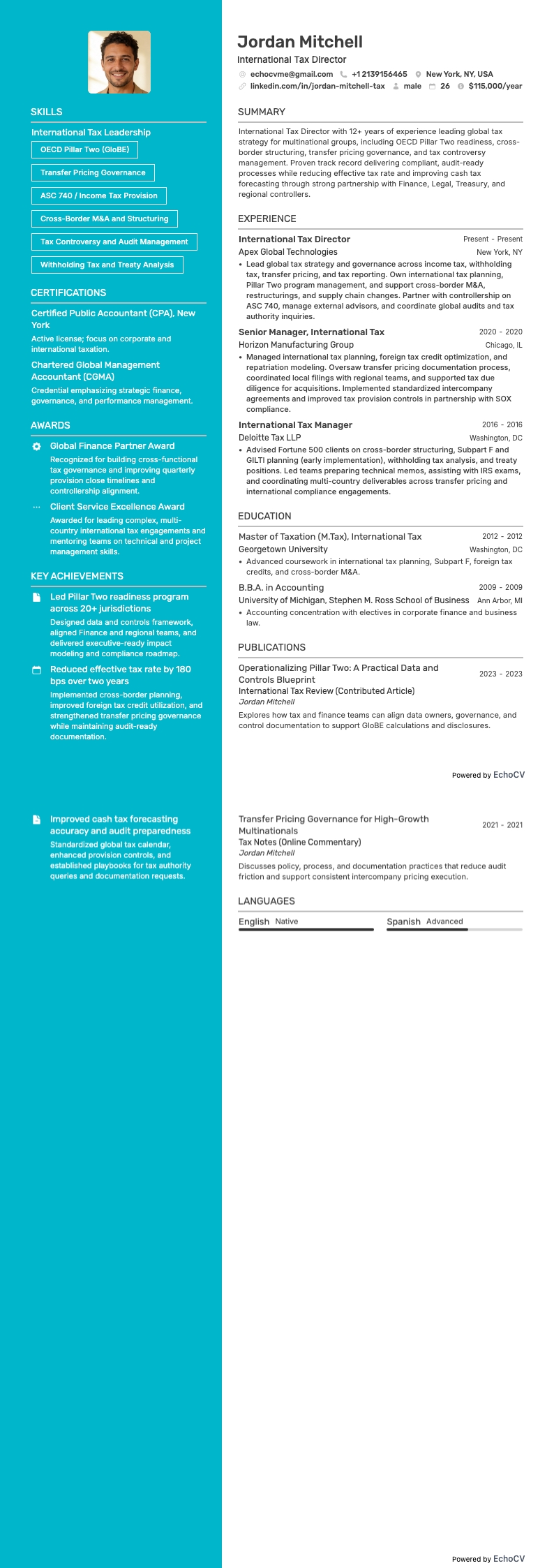 International Tax Director example resume