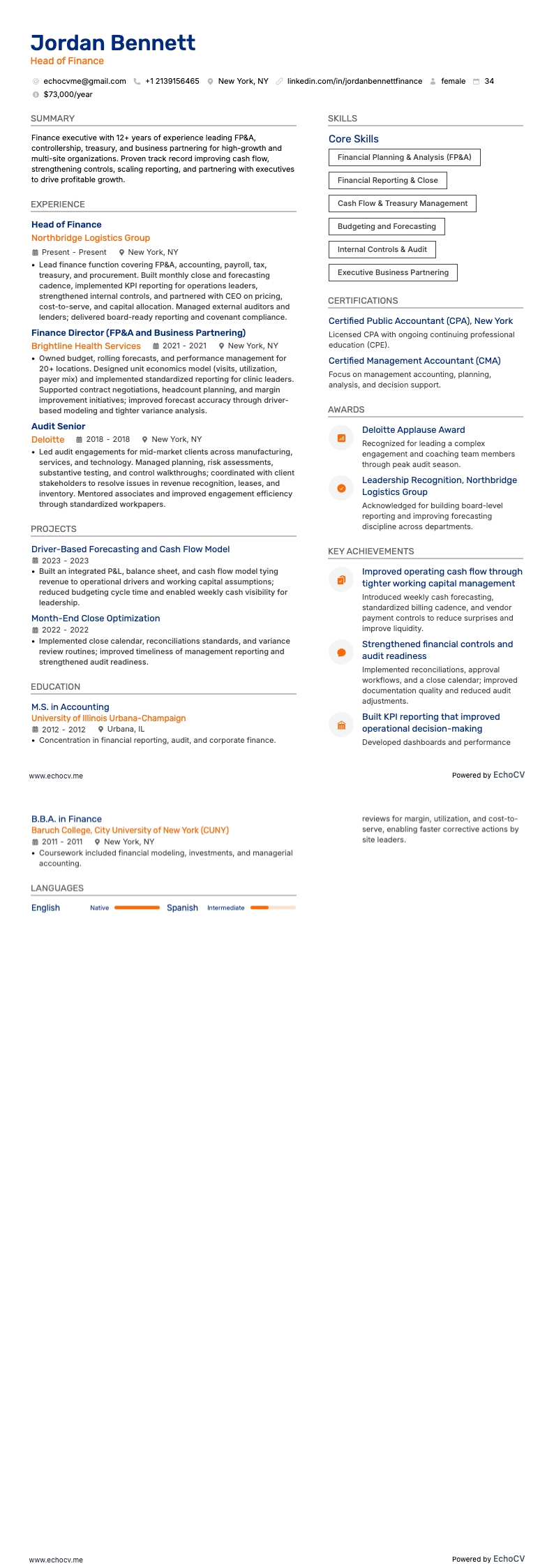 財務責任者 example resume