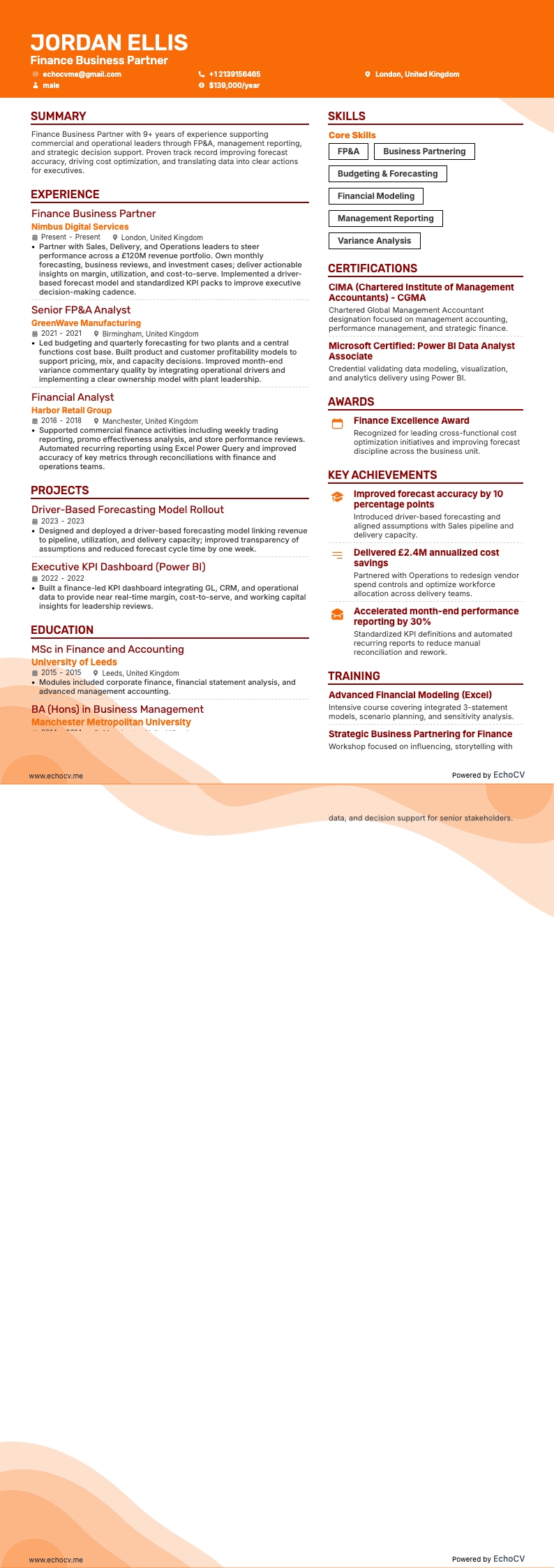 ファイナンスビジネスパートナー example resume