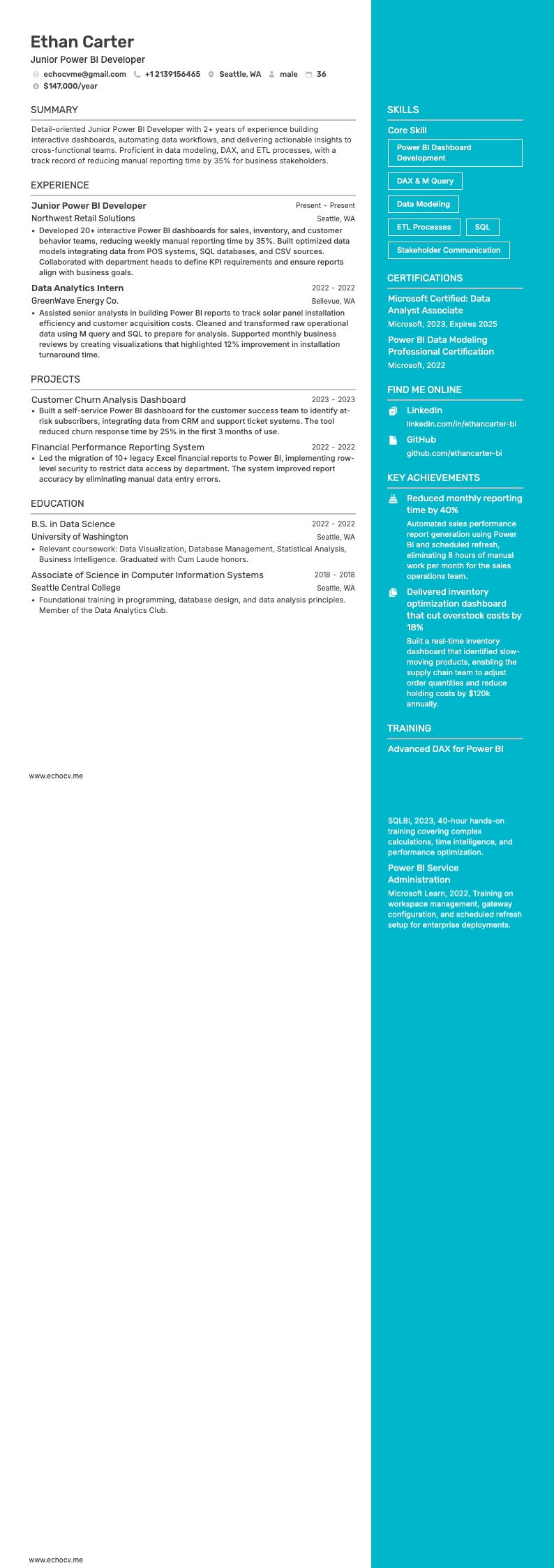 주니어 Power BI 개발자 example resume