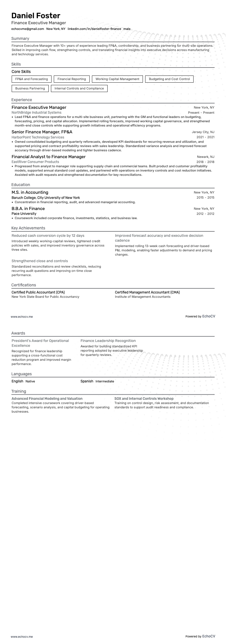 財務エグゼクティブマネージャー の全体プレビュー