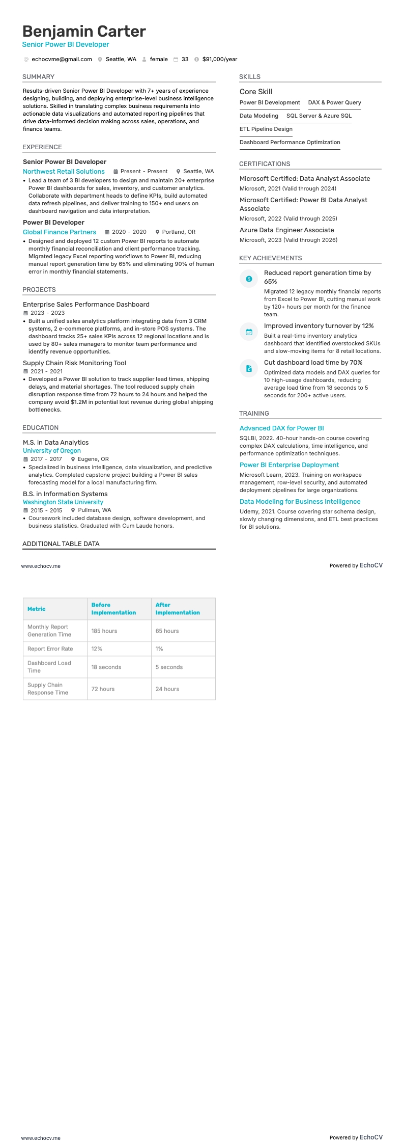 시니어 Power BI 개발자 example resume