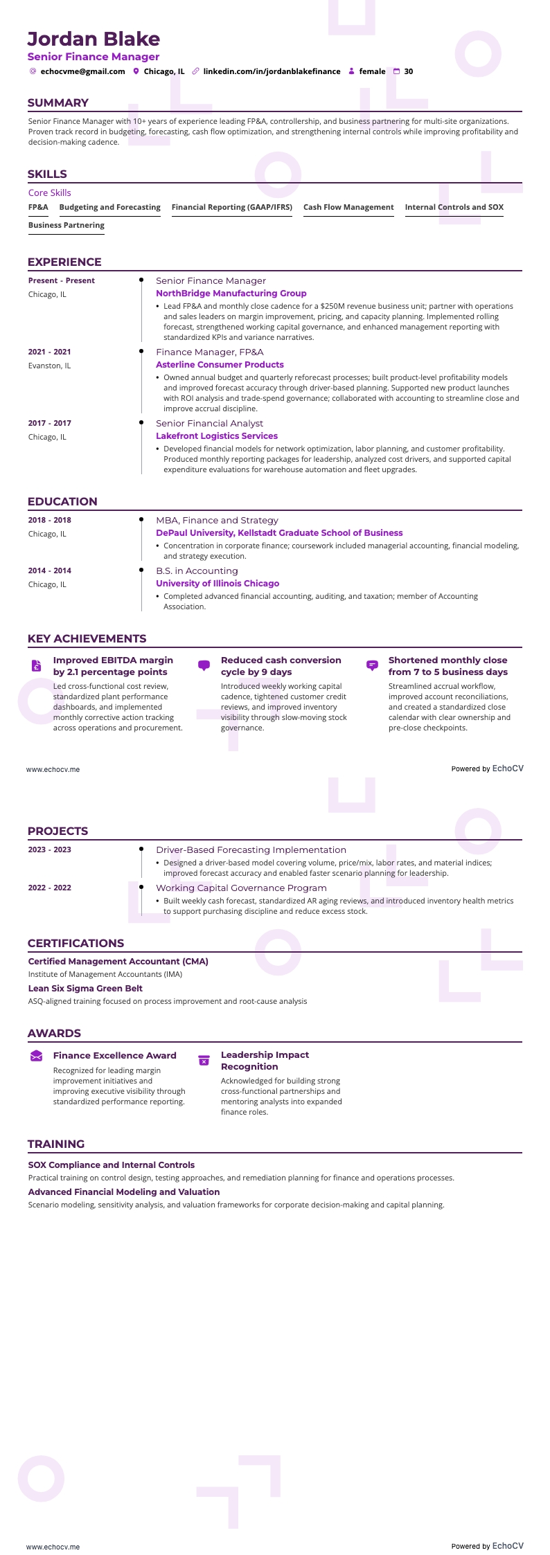 Senior Finance Manager full preview