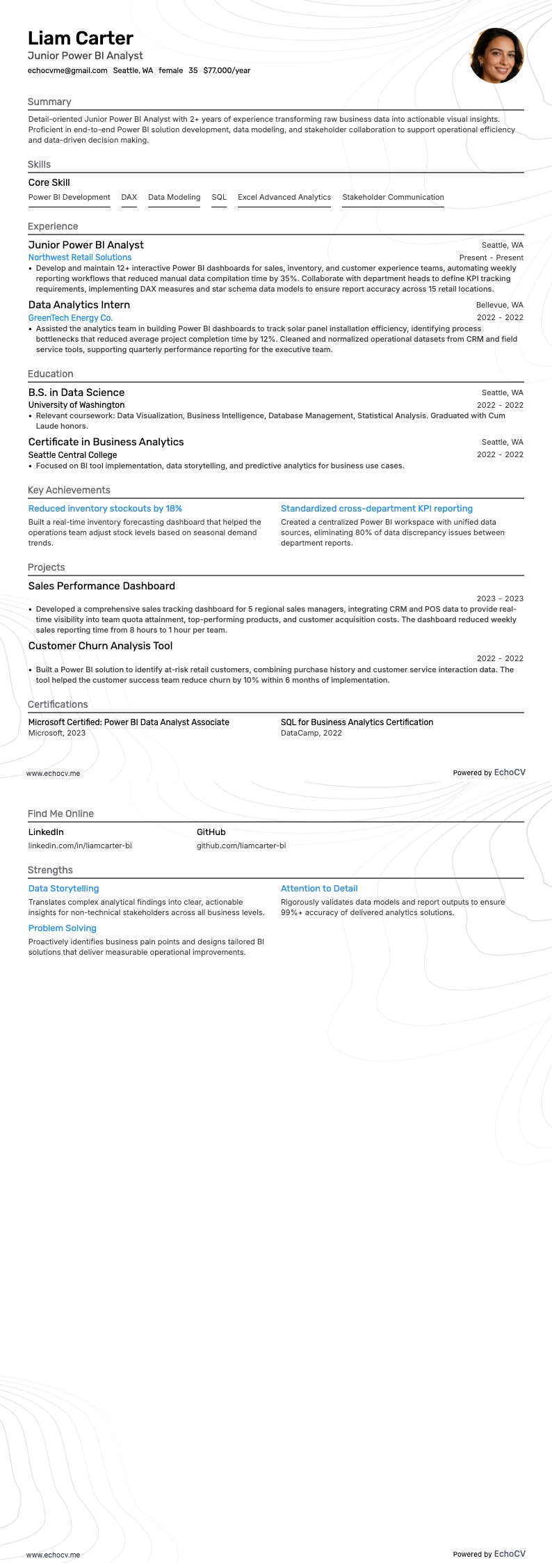 주니어 Power BI 분석가 example resume