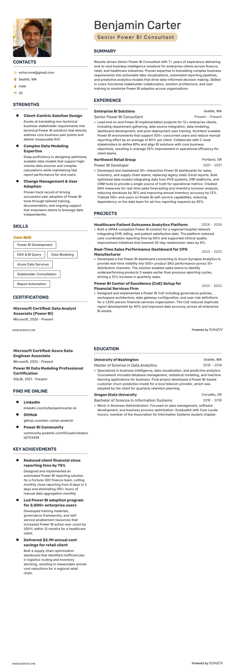 시니어 Power BI 컨설턴트 example resume