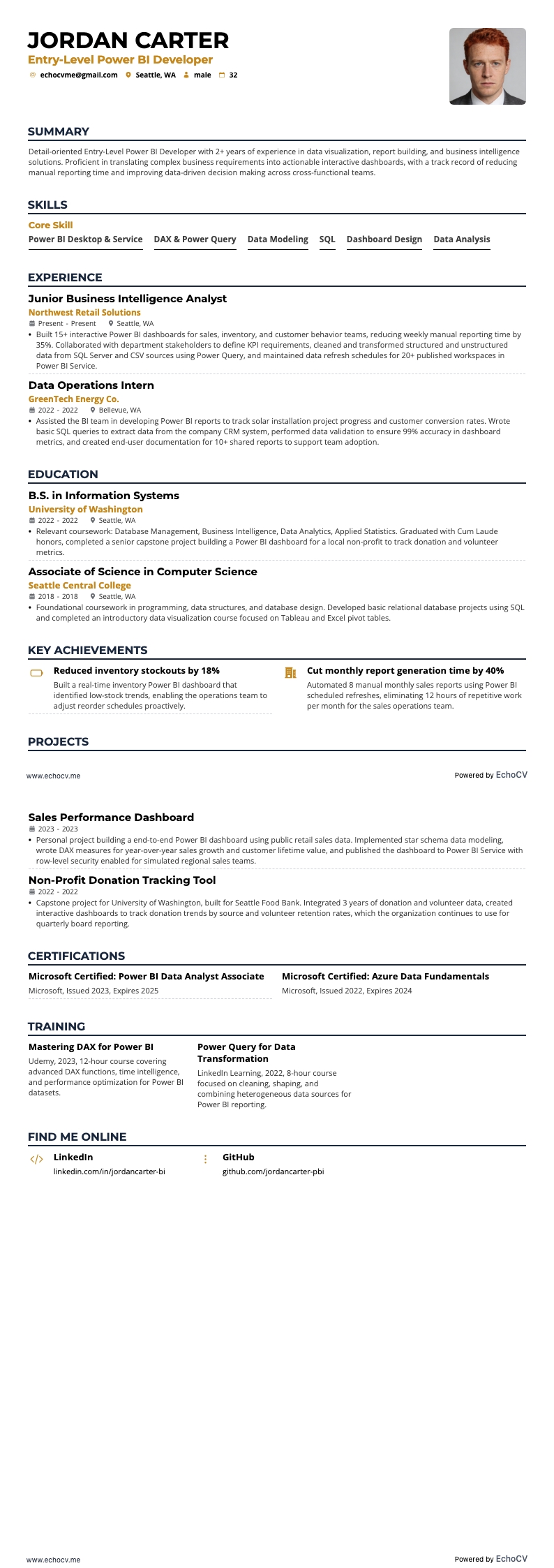 Power BI resume example