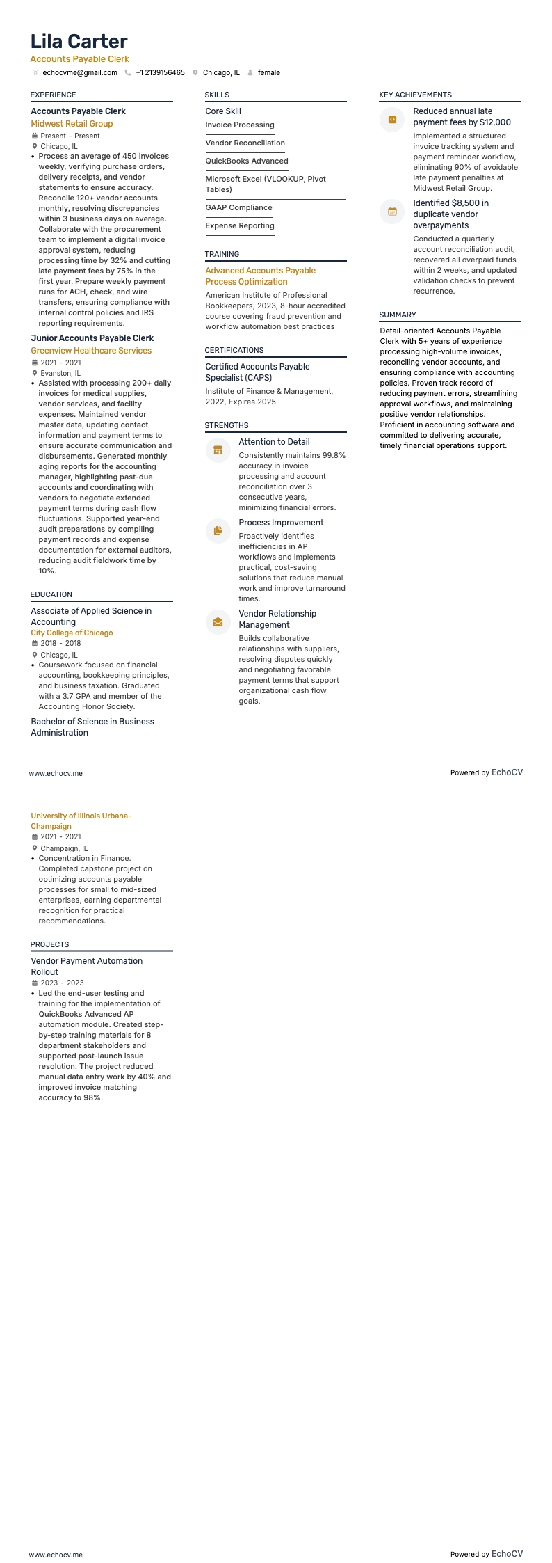 Assistente de contas a pagar example resume