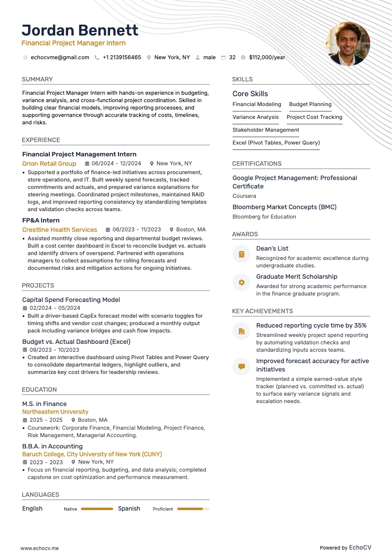 Financial Project Manager resume example