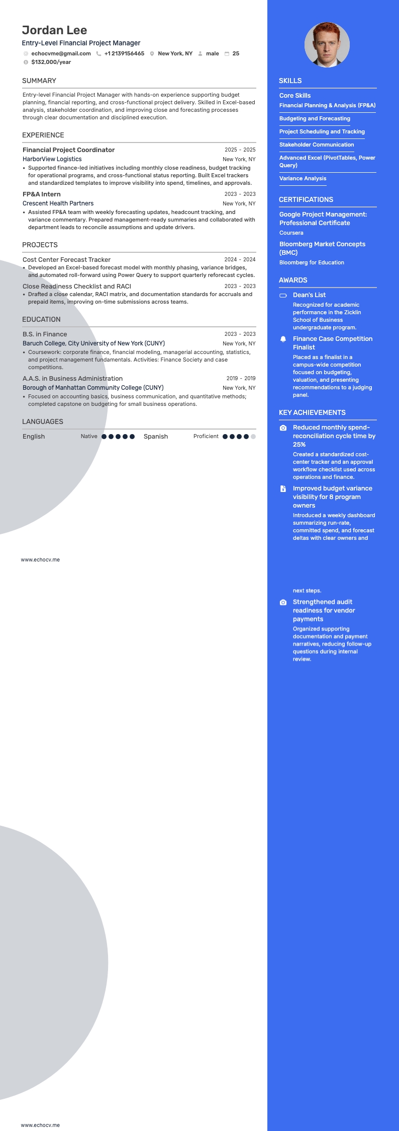 Entry-Level Financial Project Manager example resume