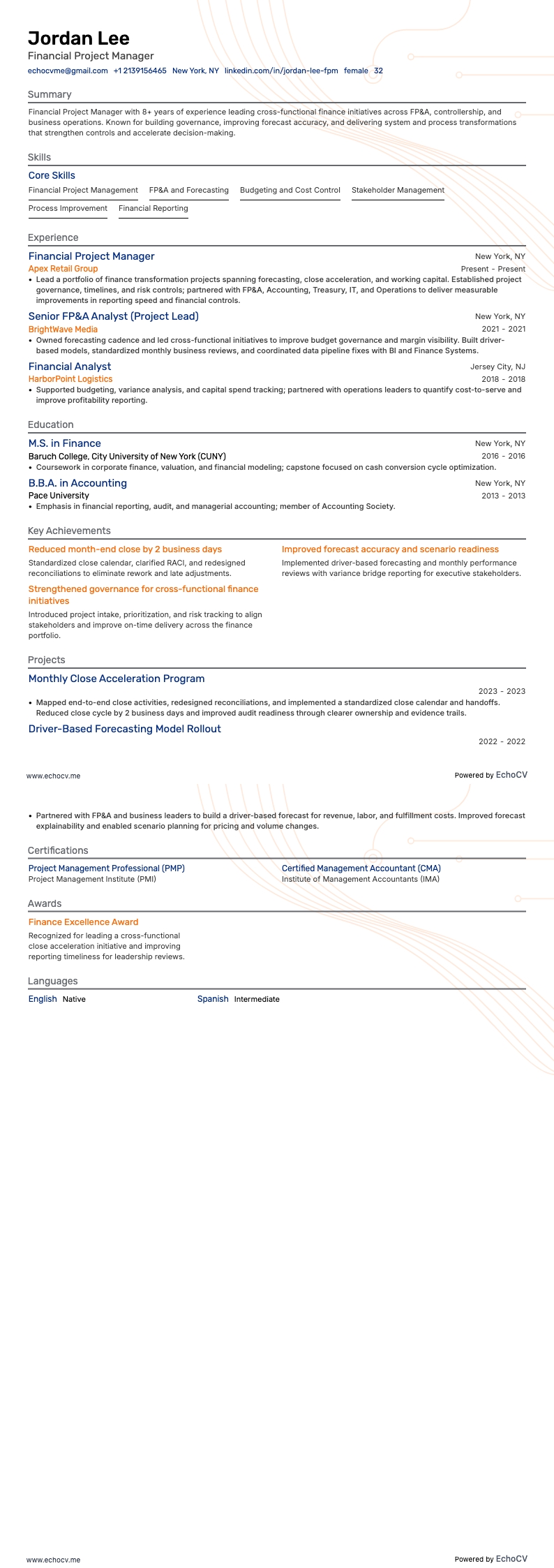 Financial Project Manager full preview