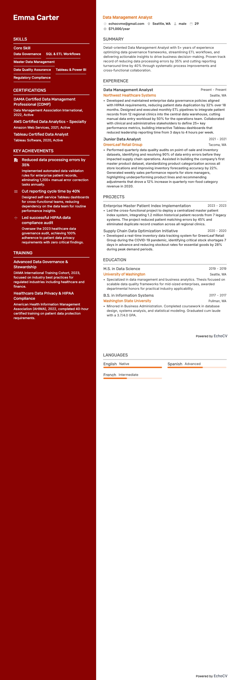 Analist gegevensbeheer example resume